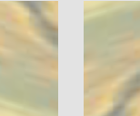 The Golden Finoob